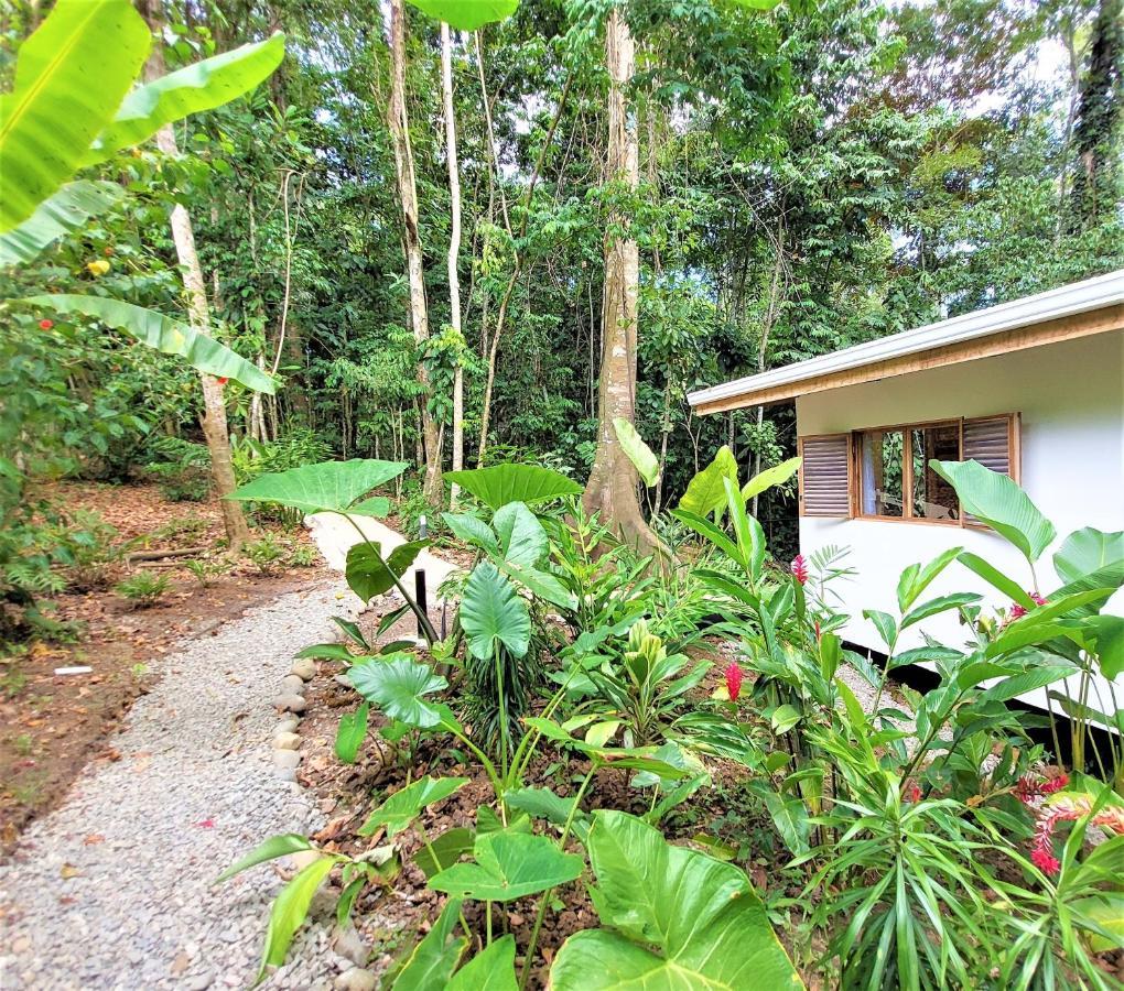 Satta Lodge Puerto Viejo de Talamanca Esterno foto