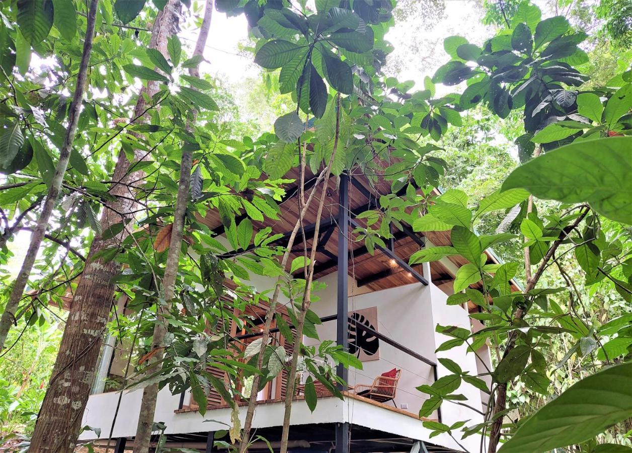 Satta Lodge Puerto Viejo de Talamanca Esterno foto