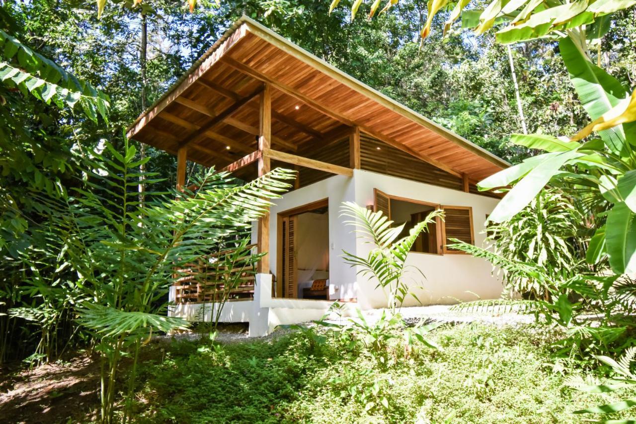 Satta Lodge Puerto Viejo de Talamanca Esterno foto