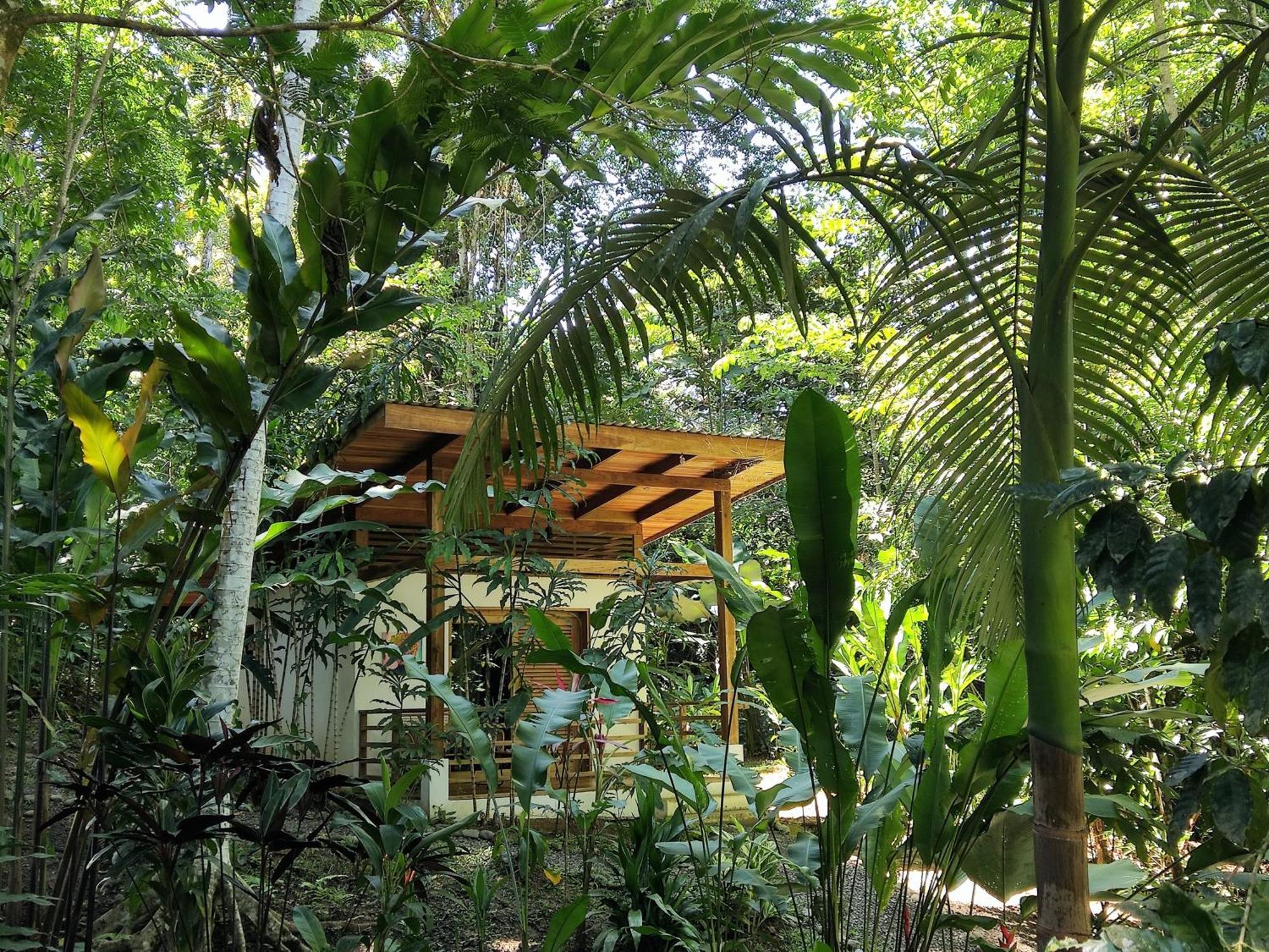 Satta Lodge Puerto Viejo de Talamanca Camera foto