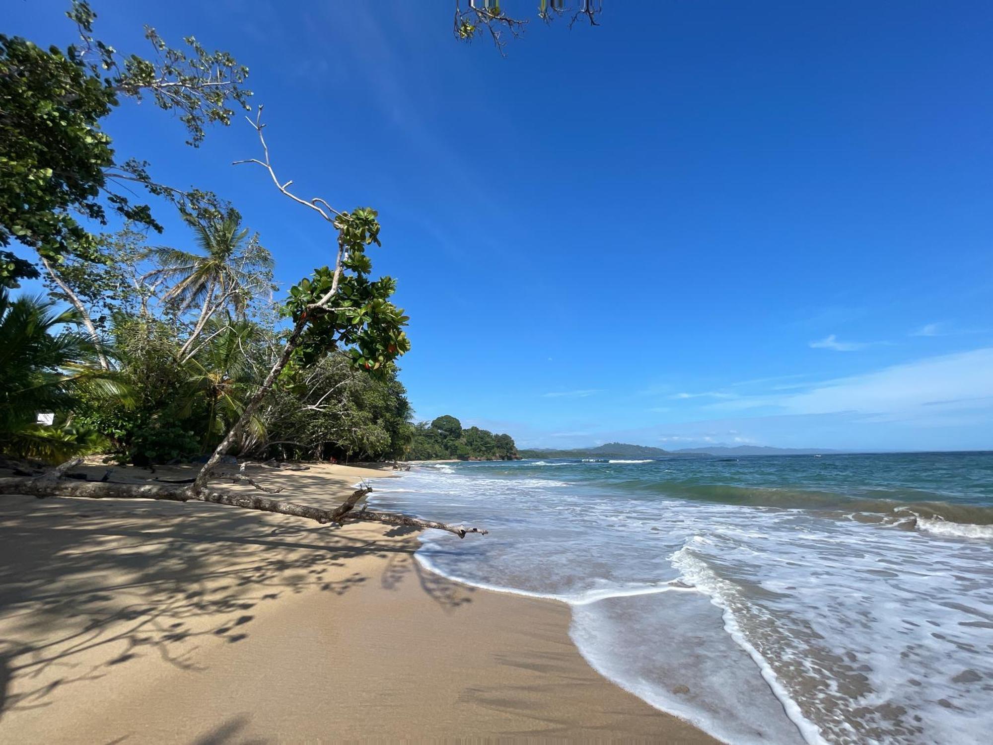 Satta Lodge Puerto Viejo de Talamanca Esterno foto