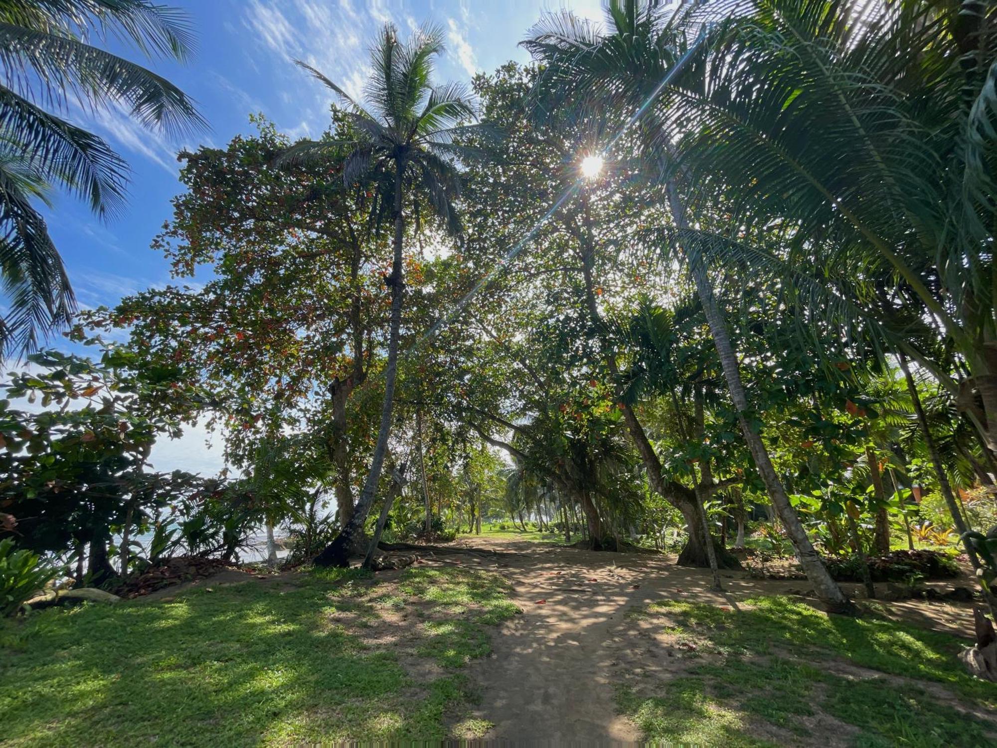 Satta Lodge Puerto Viejo de Talamanca Esterno foto