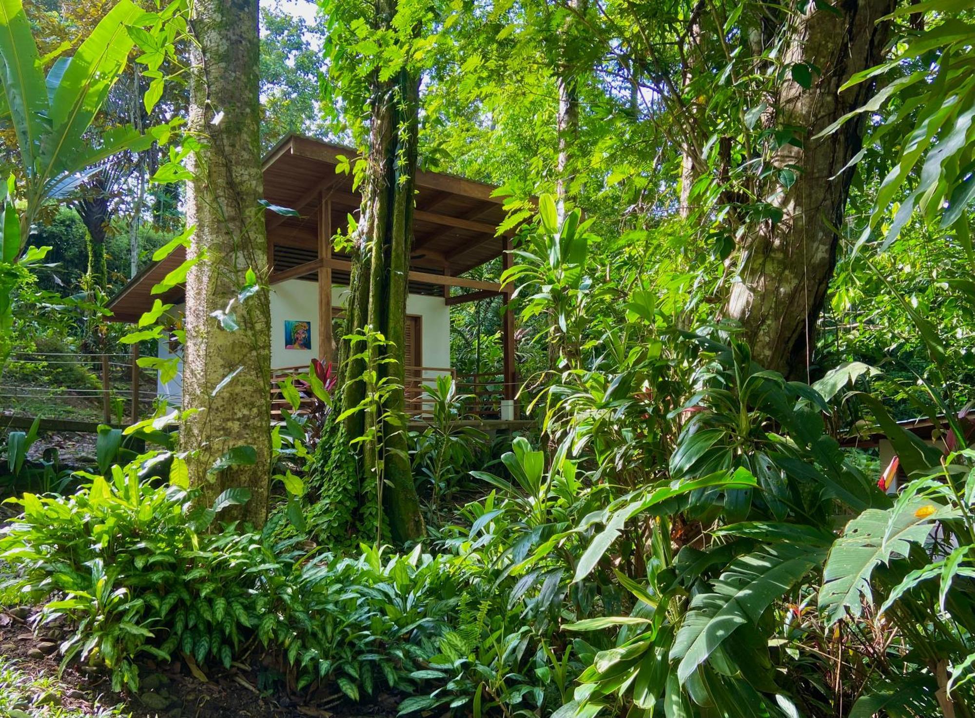 Satta Lodge Puerto Viejo de Talamanca Esterno foto